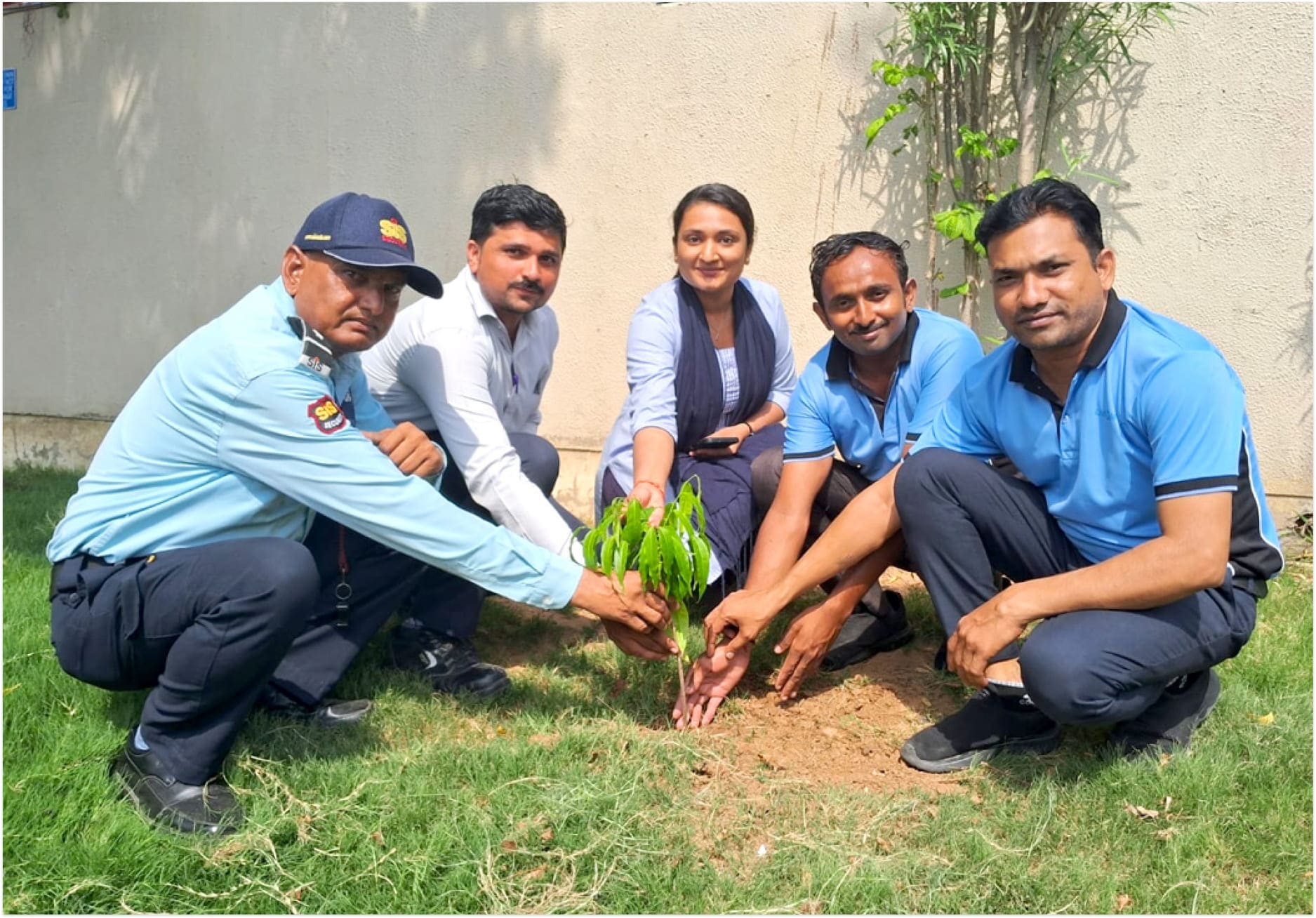 Tree Plantation 2025