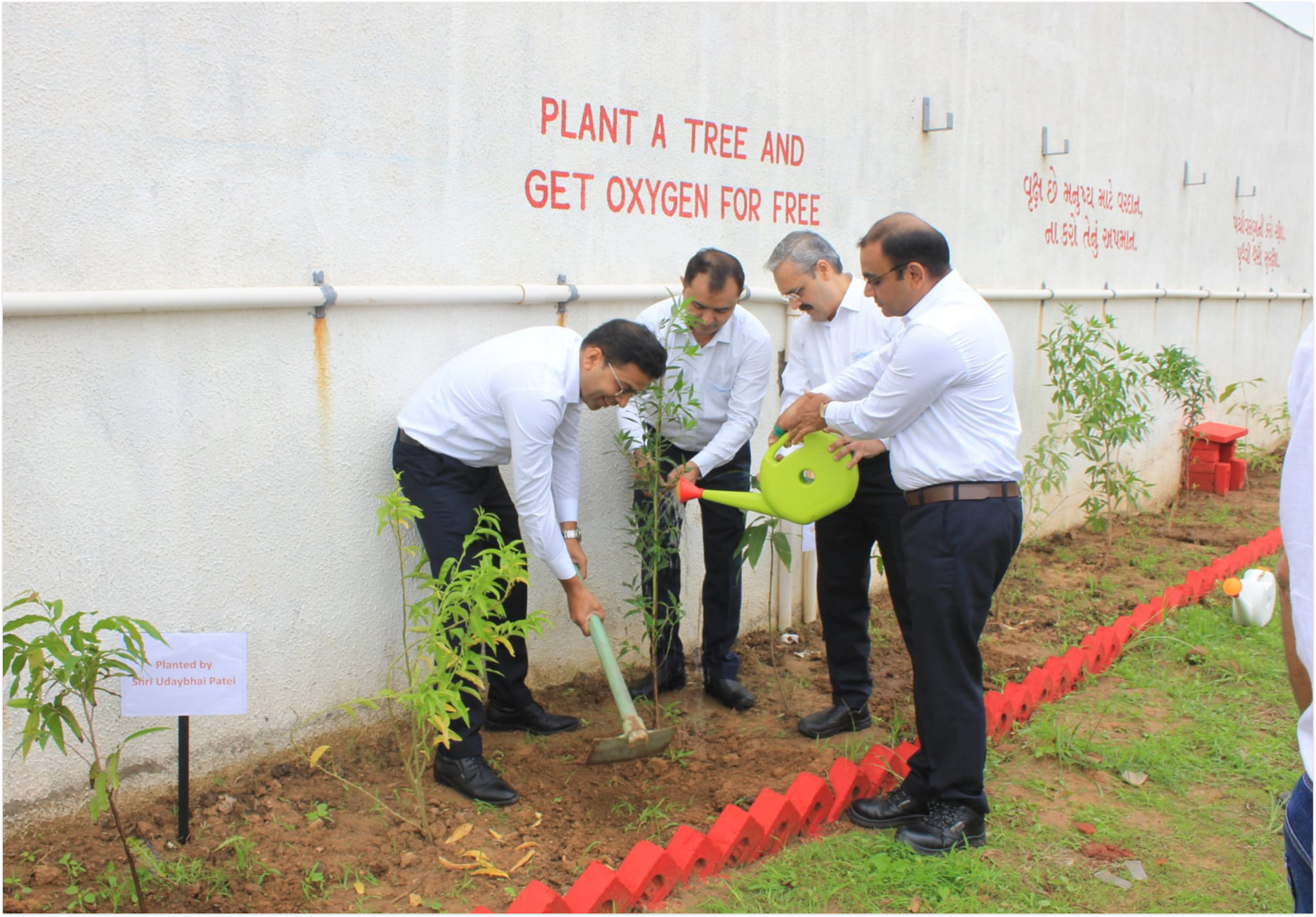Tree Plantation 2022