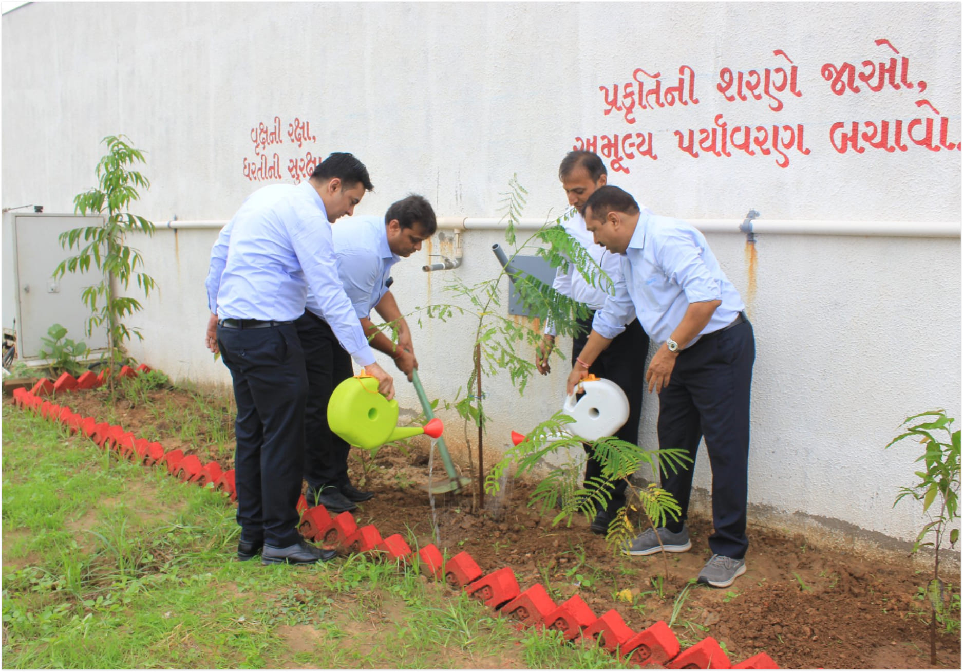 Tree Plantation 2022