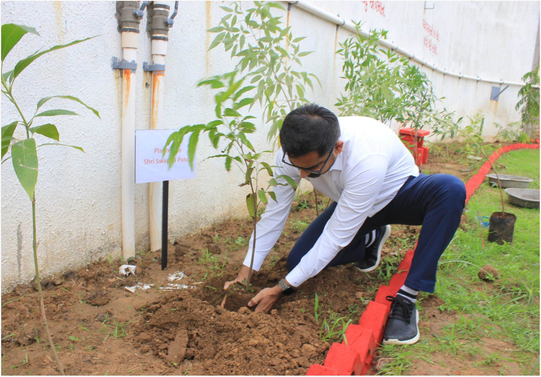 Tree Plantation 2022