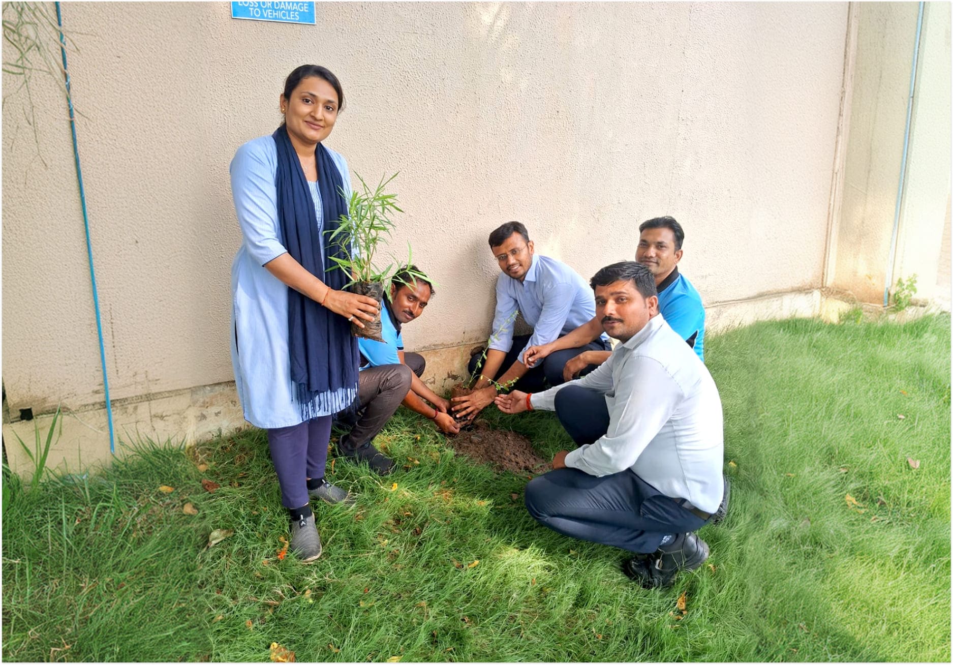 Tree Plantation 2025